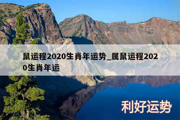 鼠运程2020生肖年运势_属鼠运程2020生肖年运