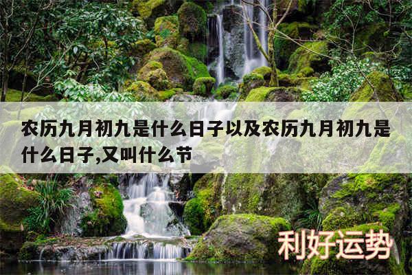 农历九月初九是什么日子以及农历九月初九是什么日子,又叫什么节