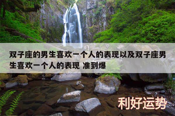 双子座的男生喜欢一个人的表现以及双子座男生喜欢一个人的表现 准到爆