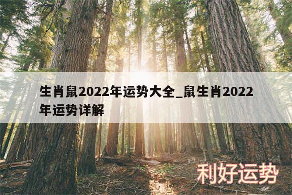 生肖鼠2024年运势大全_鼠生肖2024年运势详解