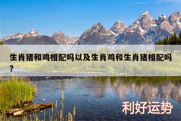 生肖猪和鸡相配吗以及生肖鸡和生肖猪相配吗?
