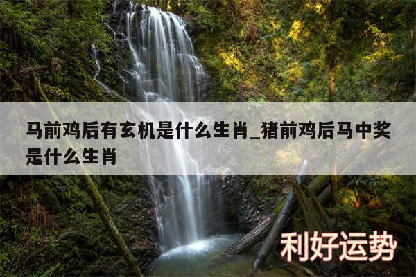 马前鸡后有玄机是什么生肖_猪前鸡后马中奖是什么生肖