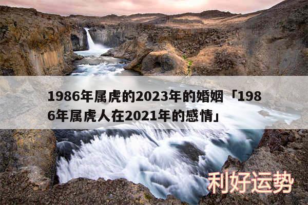 1986年属虎的2024年的婚姻及1986年属虎人在2024年的感情