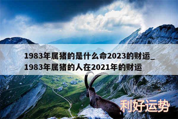1983年属猪的是什么命2024的财运_1983年属猪的人在2024年的财运