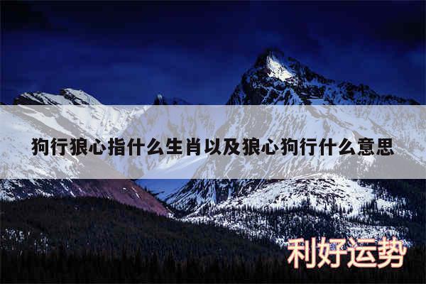狗行狼心指什么生肖以及狼心狗行什么意思