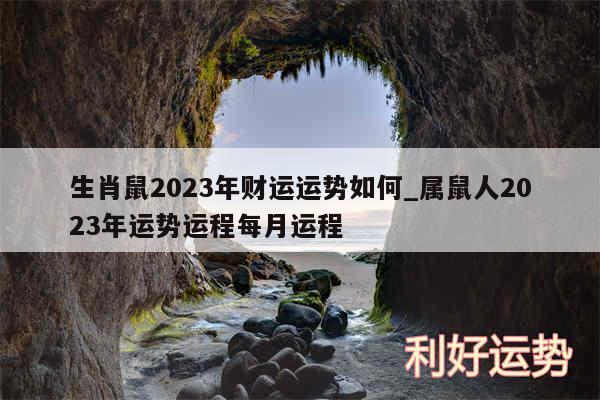 生肖鼠2024年财运运势如何_属鼠人2024年运势运程每月运程