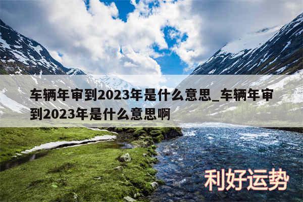 车辆年审到2024年是什么意思_车辆年审到2024年是什么意思啊