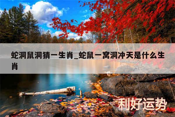 蛇洞鼠洞猜一生肖_蛇鼠一窝洞冲天是什么生肖
