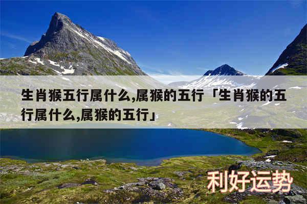 生肖猴五行属什么,属猴的五行及生肖猴的五行属什么,属猴的五行