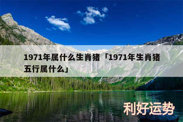 1971年属什么生肖猪及1971年生肖猪五行属什么