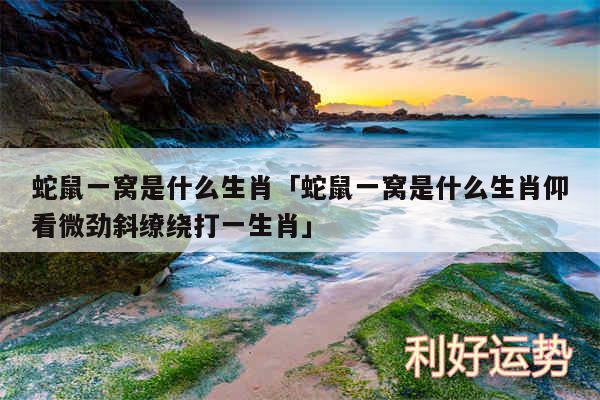 蛇鼠一窝是什么生肖及蛇鼠一窝是什么生肖仰看微劲斜缭绕打一生肖