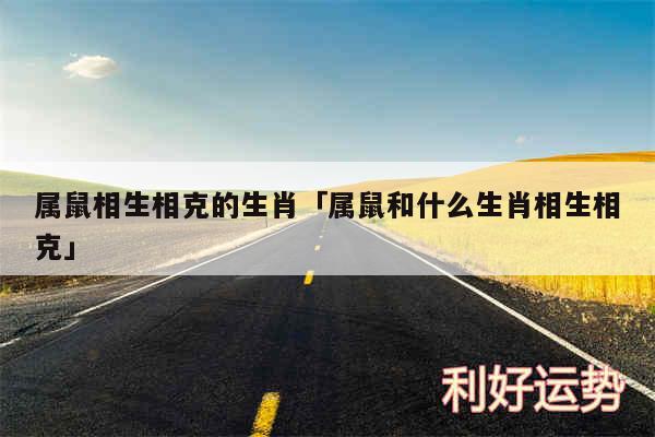 属鼠相生相克的生肖及属鼠和什么生肖相生相克