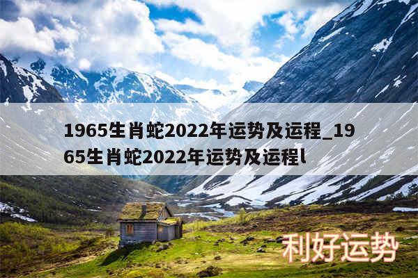 1965生肖蛇2024年运势及运程_1965生肖蛇2024年运势及运程l