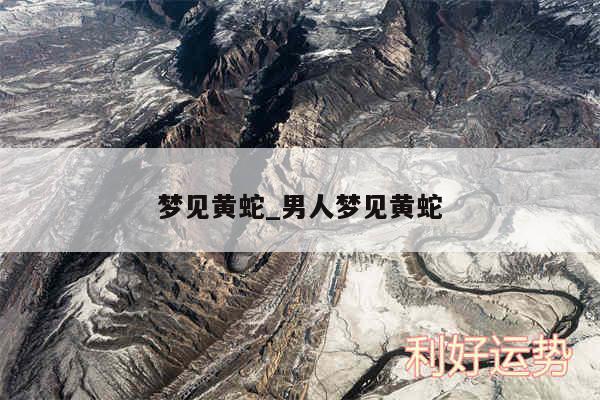 梦见黄蛇_男人梦见黄蛇