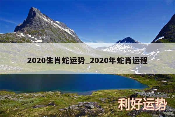 2020生肖蛇运势_2020年蛇肖运程