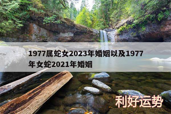 1977属蛇女2024年婚姻以及1977年女蛇2024年婚姻