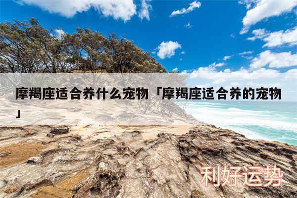 摩羯座适合养什么宠物及摩羯座适合养的宠物