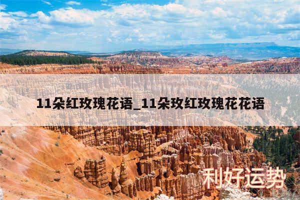 11朵红玫瑰花语_11朵玫红玫瑰花花语