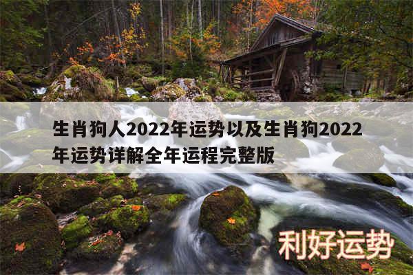 生肖狗人2024年运势以及生肖狗2024年运势详解全年运程完整版