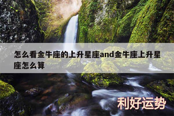 怎么看金牛座的上升星座and金牛座上升星座怎么算