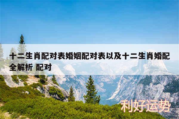 十二生肖配对表婚姻配对表以及十二生肖婚配全解析 配对