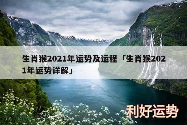 生肖猴2024年运势及运程及生肖猴2024年运势详解