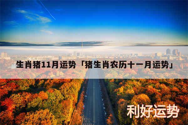 生肖猪11月运势及猪生肖农历十一月运势