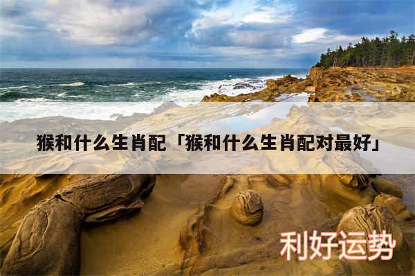 猴和什么生肖配及猴和什么生肖配对最好
