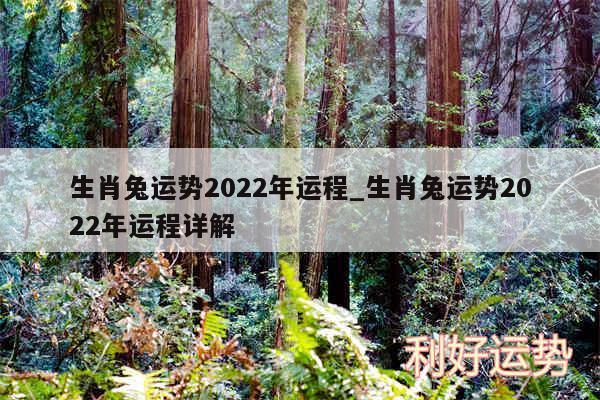 生肖兔运势2024年运程_生肖兔运势2024年运程详解