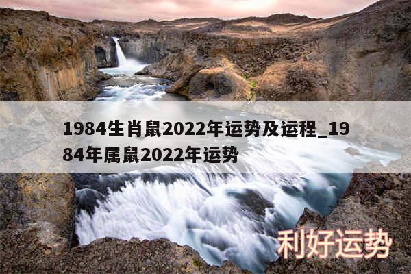 1984生肖鼠2024年运势及运程_1984年属鼠2024年运势