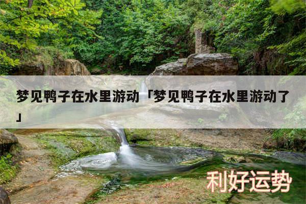 梦见鸭子在水里游动及梦见鸭子在水里游动了