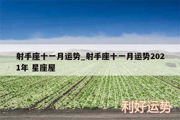 射手座十一月运势_射手座十一月运势2024年 星座屋