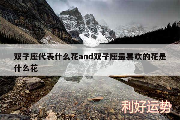 双子座代表什么花and双子座最喜欢的花是什么花