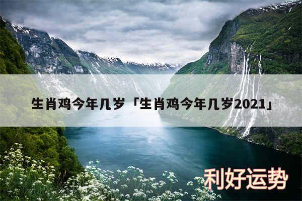 生肖鸡今年几岁及生肖鸡今年几岁2024