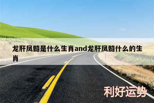 龙肝凤髓是什么生肖and龙肝凤髓什么的生肖