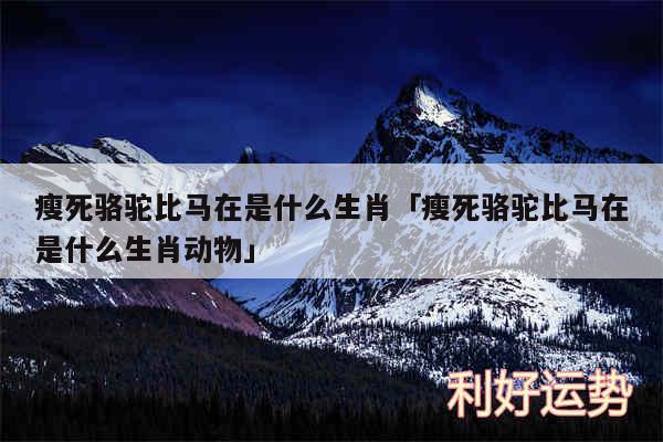 瘦死骆驼比马在是什么生肖及瘦死骆驼比马在是什么生肖动物