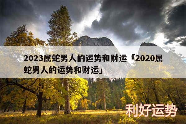 2024属蛇男人的运势和财运及2020属蛇男人的运势和财运