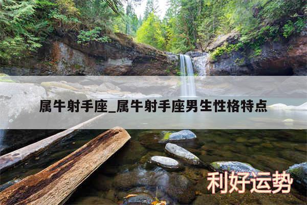 属牛射手座_属牛射手座男生性格特点