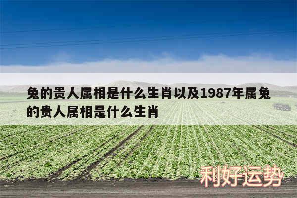 兔的贵人属相是什么生肖以及1987年属兔的贵人属相是什么生肖