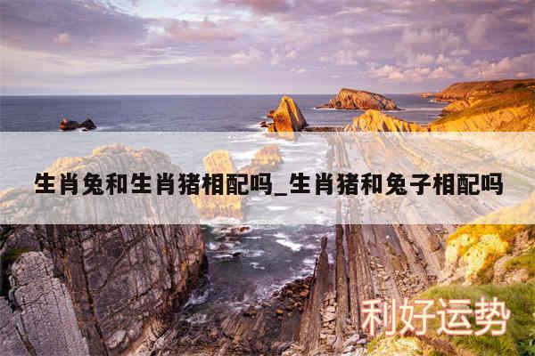 生肖兔和生肖猪相配吗_生肖猪和兔子相配吗