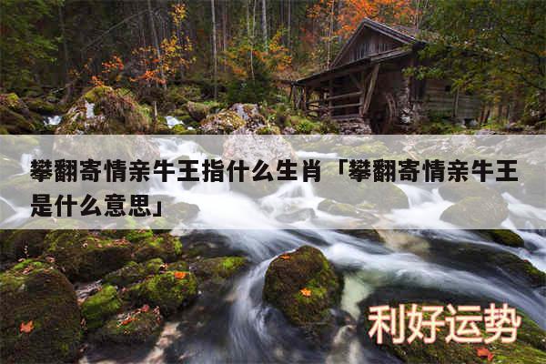 攀翻寄情亲牛王指什么生肖及攀翻寄情亲牛王是什么意思