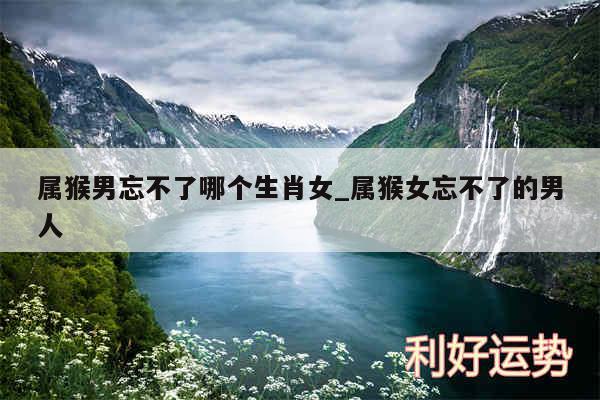 属猴男忘不了哪个生肖女_属猴女忘不了的男人