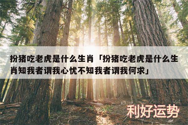 扮猪吃老虎是什么生肖及扮猪吃老虎是什么生肖知我者谓我心忧不知我者谓我何求