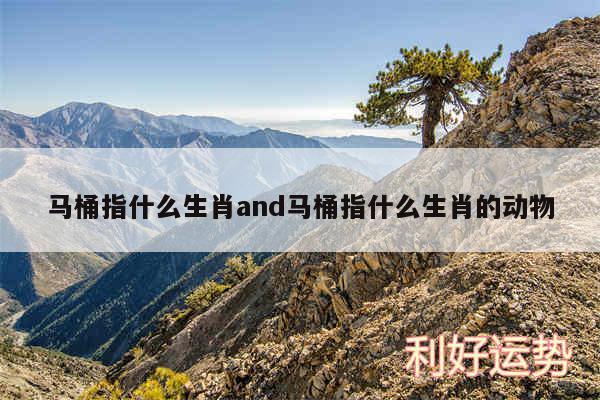 马桶指什么生肖and马桶指什么生肖的动物