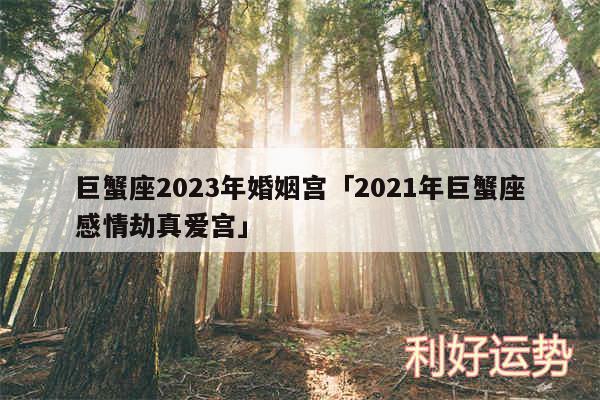 巨蟹座2024年婚姻宫及2024年巨蟹座感情劫真爱宫