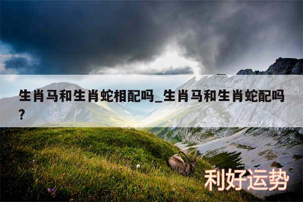 生肖马和生肖蛇相配吗_生肖马和生肖蛇配吗?