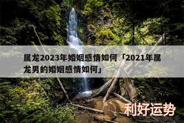 属龙2024年婚姻感情如何及2024年属龙男的婚姻感情如何