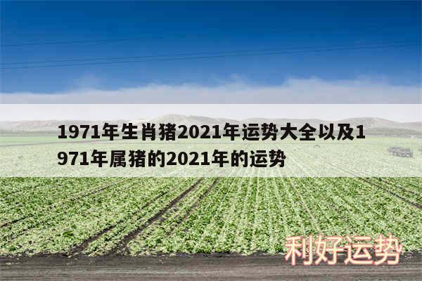 1971年生肖猪2024年运势大全以及1971年属猪的2024年的运势