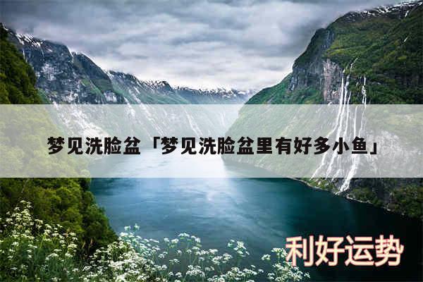 梦见洗脸盆及梦见洗脸盆里有好多小鱼