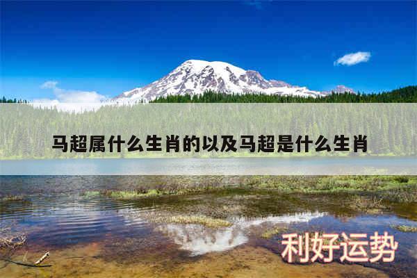 马超属什么生肖的以及马超是什么生肖